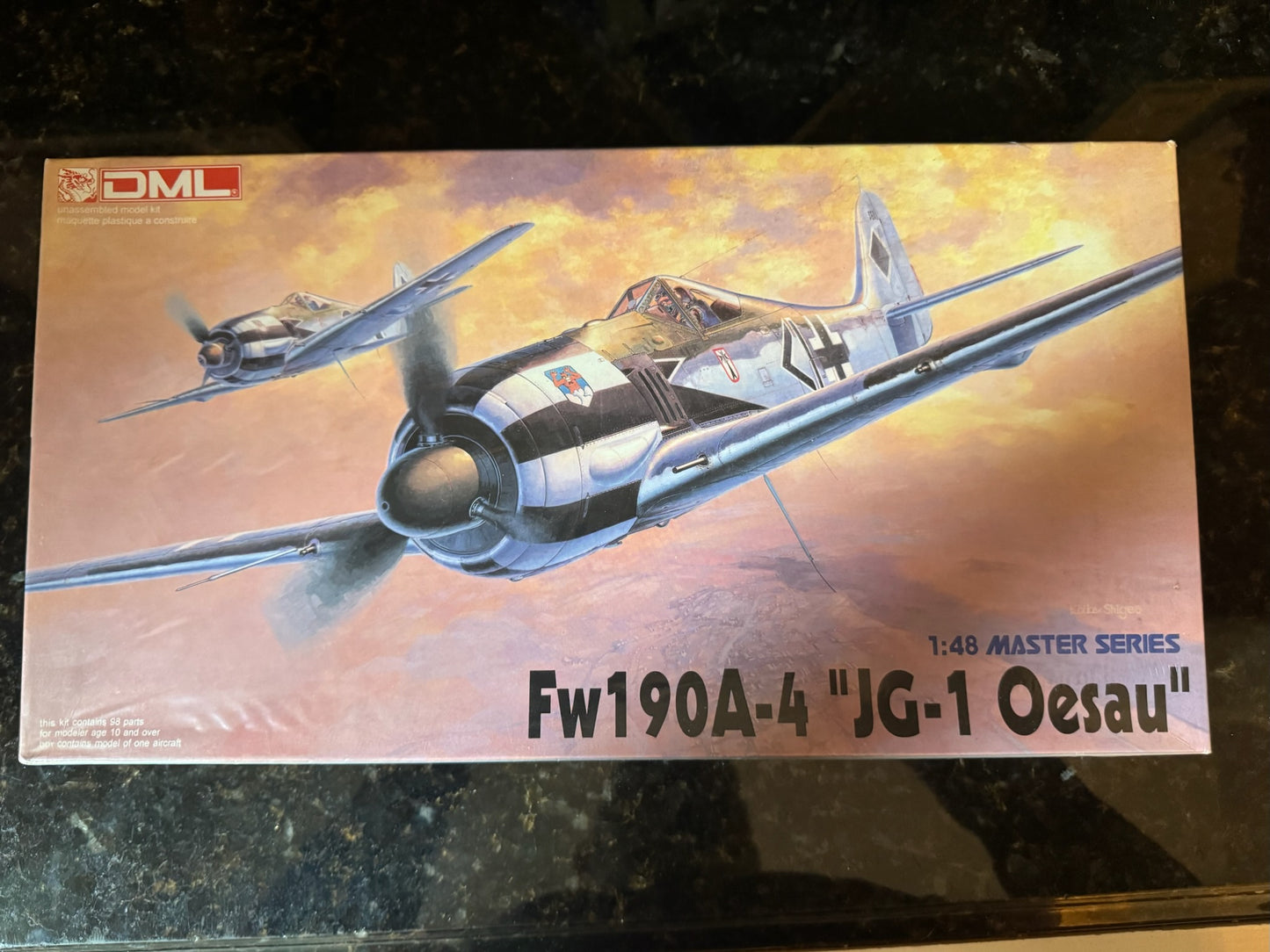 DML FW190A-4 "JG-1 Oesau #5524 1/48